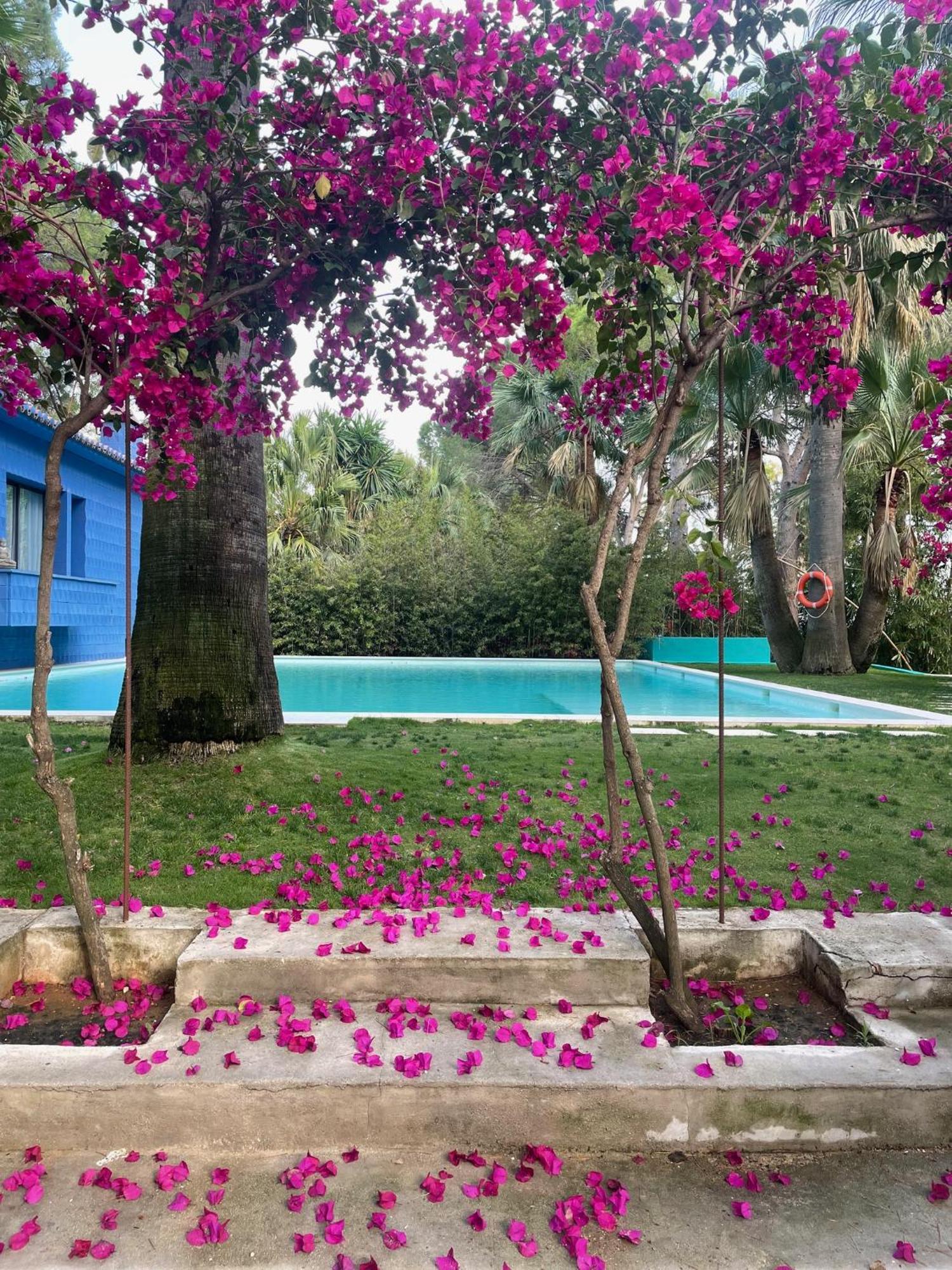 ホテル El Botanico De Sagra エクステリア 写真